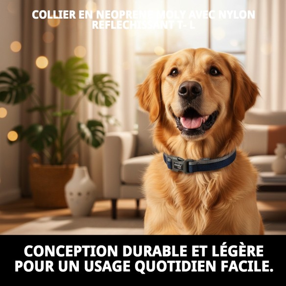Collier Moly Néoprène Réfléchissant T-L pour Animaux de Compagnie