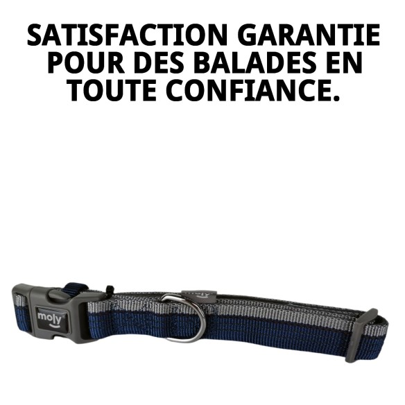 Collier Moly Néoprène Réfléchissant T-L pour Animaux de Compagnie