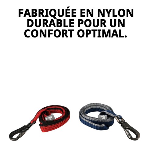 Ramal Moly Confort Réfléchissant pour des promenades sûres et confortables.