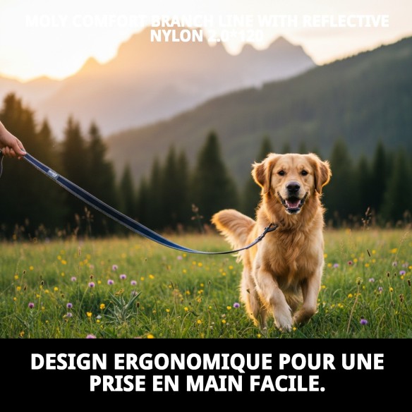 Ramal Moly Confort Réfléchissant pour des promenades sûres et confortables.