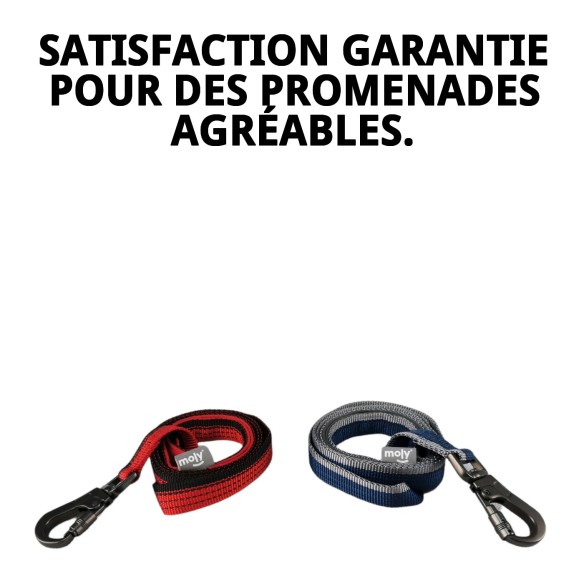 Ramal Moly Confort Réfléchissant pour des promenades sûres et confortables.