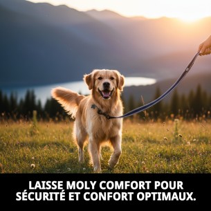 Ramal Moly Confort Réfléchissant 120cm | Sécurité et Style 2