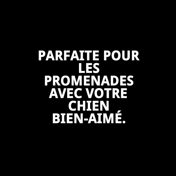 Ramal Moly Confort Réfléchissant 120cm | Sécurité et Style