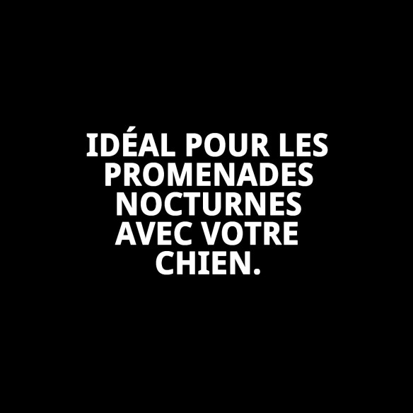 Collier Moly Easy Urban Réfléchissant 2.0 pour Animaux de Compagnie 34-51 CM