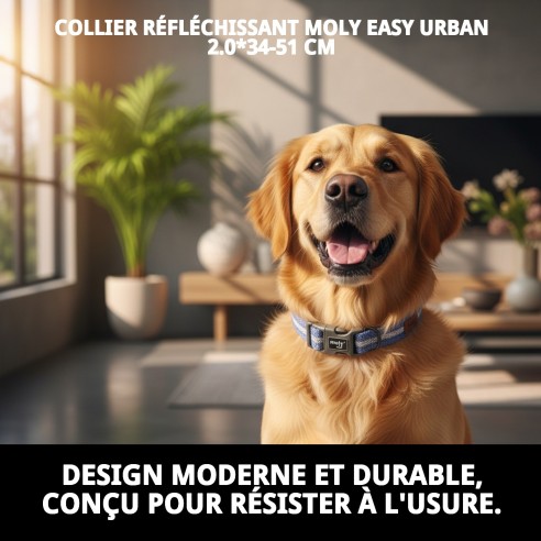 Collier Moly Easy Urban Réfléchissant 2.0 pour Animaux de Compagnie 34-51 CM