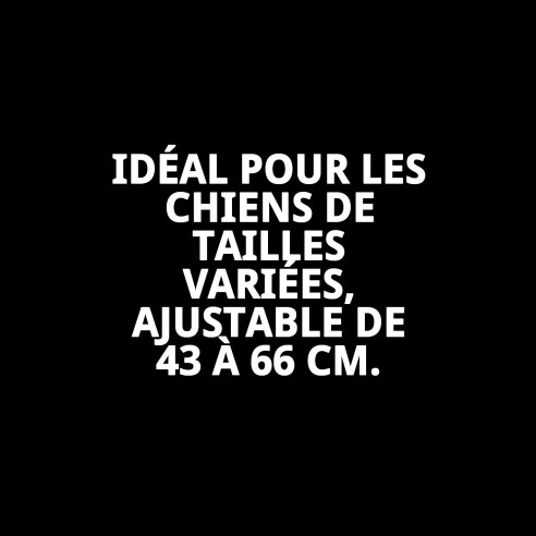 Collier Moly Easy Urban Réfléchissant pour votre animal de compagnie 2,5*43-66 CM