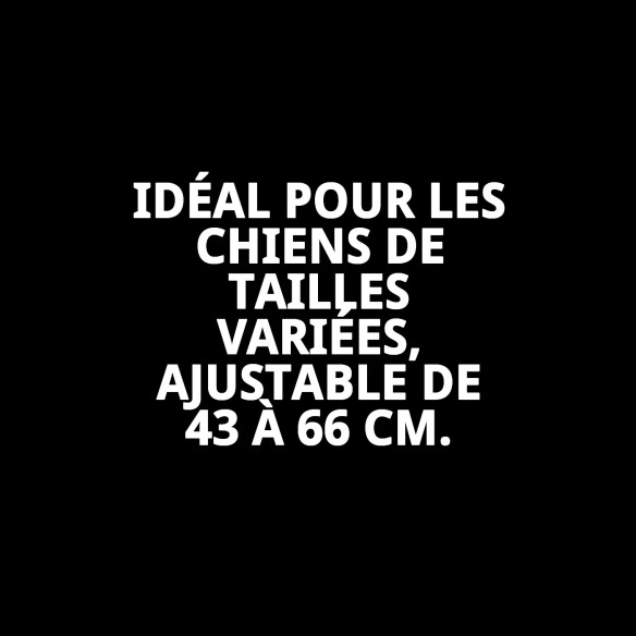 Collier Moly Easy Urban Réfléchissant pour votre animal de compagnie 2,5*43-66 CM