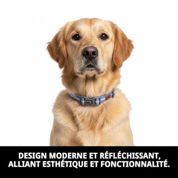 Collier Moly Easy Urban Réfléchissant pour votre animal de compagnie 2,5*43-66 CM