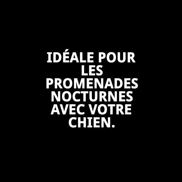 Ramal Moly Easy Urban Réfléchissant 1,5x120 cm pour Animaux de Compagnie