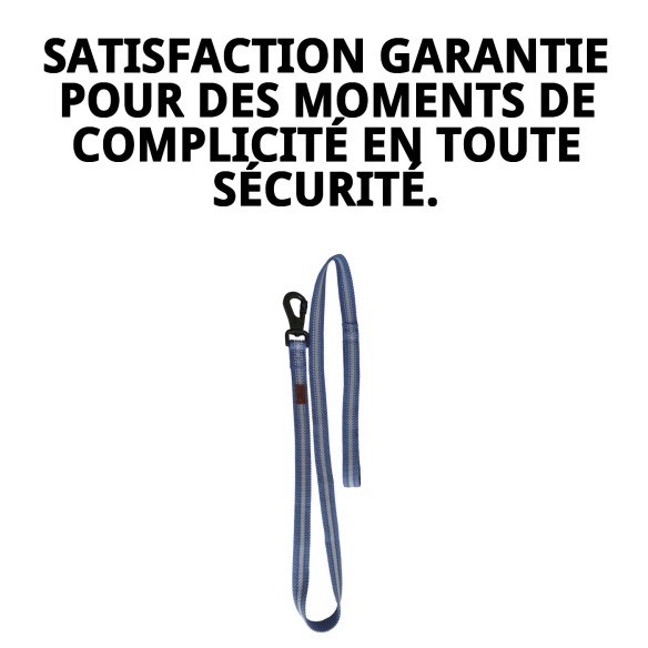 Ramal Moly Easy Urban Réfléchissant 1,5x120 cm pour Animaux de Compagnie