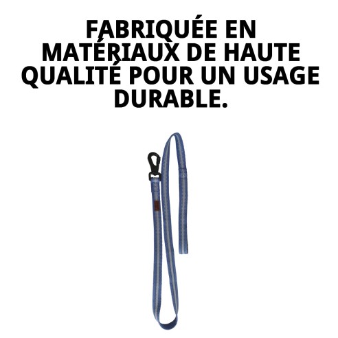 Ramal Moly Easy Urban Réfléchissant 2,5x120 cm pour animaux de compagnie