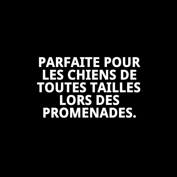 Ramal Moly Easy Urban Réfléchissant 2,5x120 cm pour animaux de compagnie