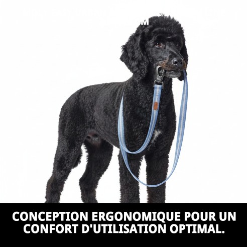 Ramal Moly Easy Urban Réfléchissant 2,5x120 cm pour animaux de compagnie