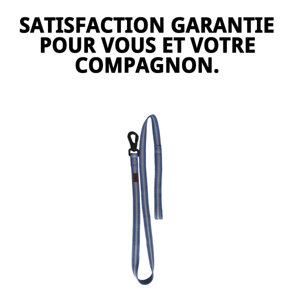 Ramal Moly Easy Urban Réfléchissant 2,5x120 cm pour animaux de compagnie