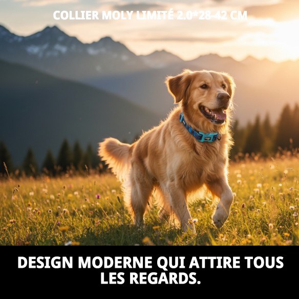 Collier Moly Limited 2.0 : Style et Confort pour votre Animal de Compagnie