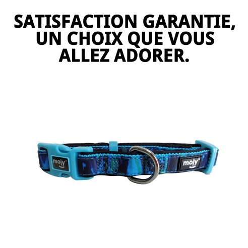 Collier Moly Limited 2.0 : Style et Confort pour votre Animal de Compagnie