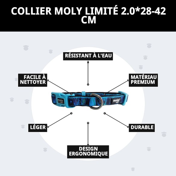 Collier Moly Limited 2.0 : Style et Confort pour votre Animal de Compagnie