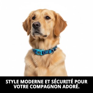 Collier Moly Limited 2.5*34-52 CM : Style et Confort pour Votre Animal de Compagnie 2