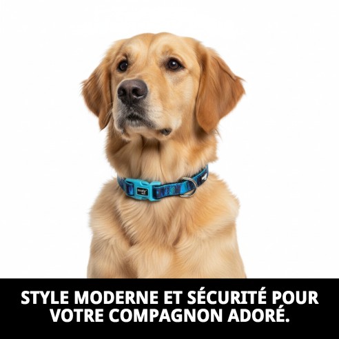 Collier Moly Limited 2.5*34-52 CM : Style et Confort pour Votre Animal de Compagnie