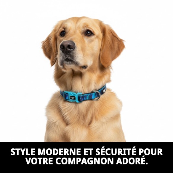 Collier Moly Limited 2.5*34-52 CM : Style et Confort pour Votre Animal de Compagnie