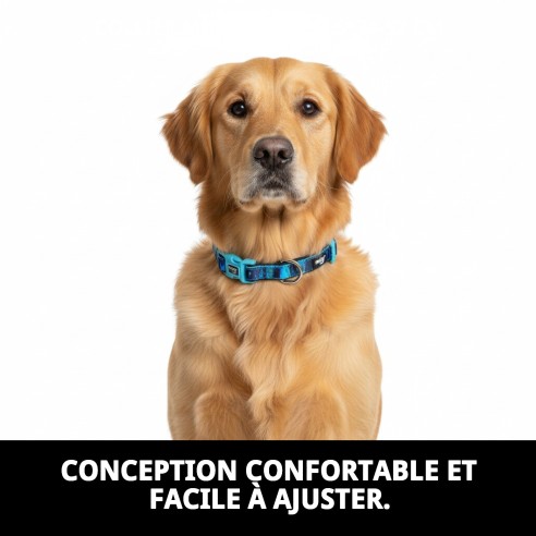 Collier Moly Limited 2.5*34-52 CM : Style et Confort pour Votre Animal de Compagnie