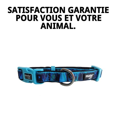 Collier Moly Limited 2.5*34-52 CM : Style et Confort pour Votre Animal de Compagnie