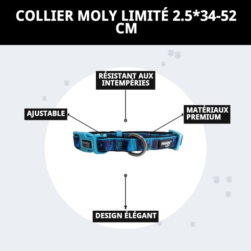 Collier Moly Limited 2.5*34-52 CM : Style et Confort pour Votre Animal de Compagnie