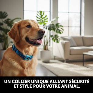 Collier Moly Limited 3.0 - Style et Confort pour votre Animal de Compagnie 2