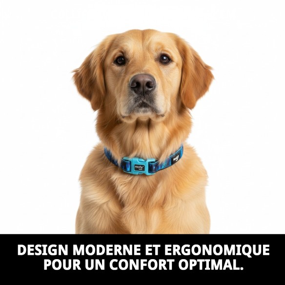 Collier Moly Limited 3.0 - Style et Confort pour votre Animal de Compagnie
