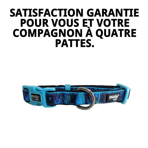 Collier Moly Limited 3.0 - Style et Confort pour votre Animal de Compagnie