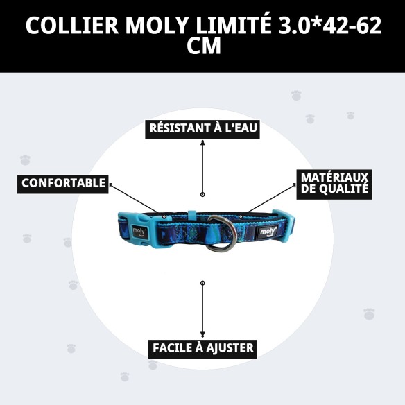 Collier Moly Limited 3.0 - Style et Confort pour votre Animal de Compagnie