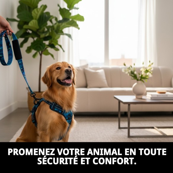 Ramal Moly Limited 2*120 CM : Confort et Style pour votre Animal de Compagnie