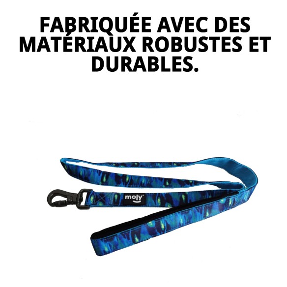 Ramal Moly Limited 2*120 CM : Confort et Style pour votre Animal de Compagnie