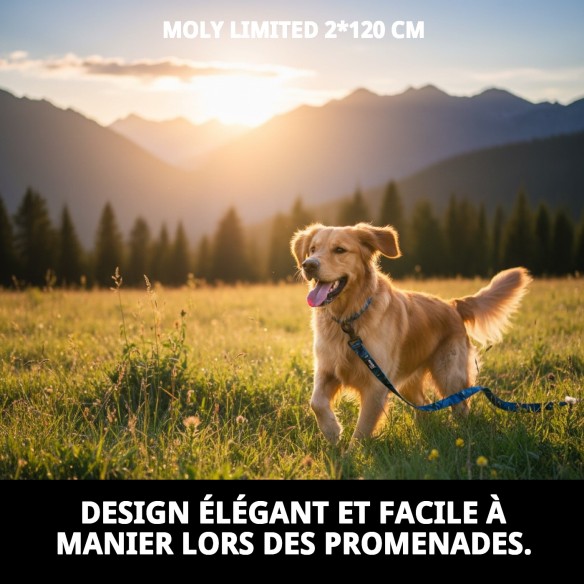 Ramal Moly Limited 2*120 CM : Confort et Style pour votre Animal de Compagnie