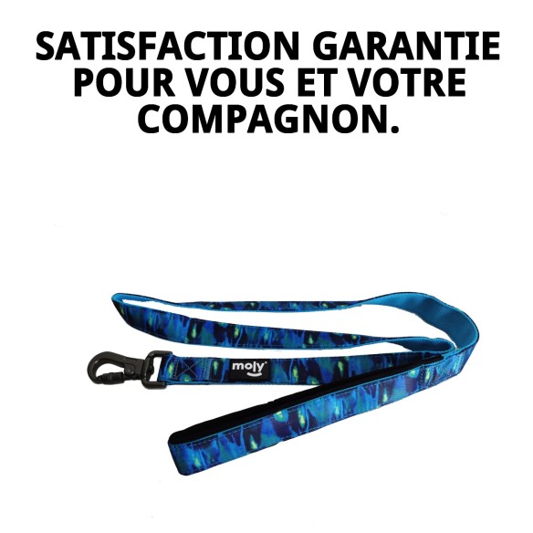 Ramal Moly Limited 2*120 CM : Confort et Style pour votre Animal de Compagnie