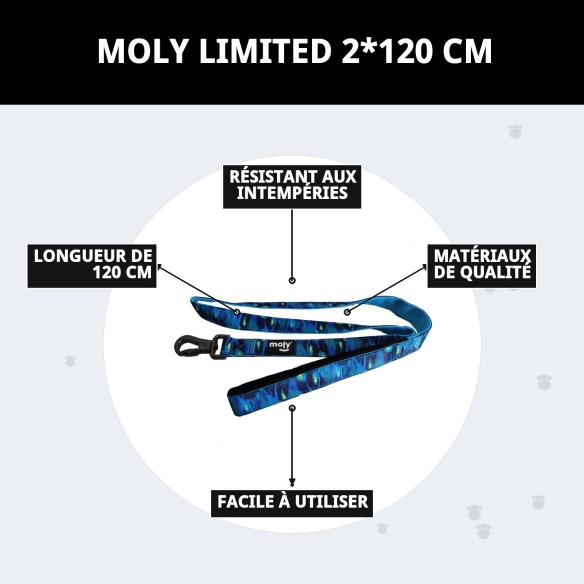 Ramal Moly Limited 2*120 CM : Confort et Style pour votre Animal de Compagnie