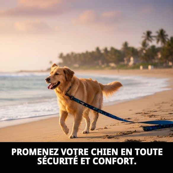 Ramal Moly Limited 2,5*120 CM : Qualité et Style pour Votre Animal de Compagnie