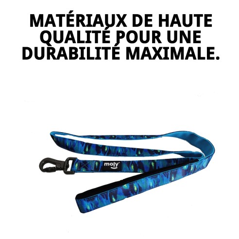 Ramal Moly Limited 2,5*120 CM : Qualité et Style pour Votre Animal de Compagnie