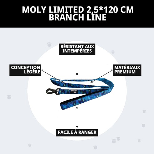 Ramal Moly Limited 2,5*120 CM : Qualité et Style pour Votre Animal de Compagnie
