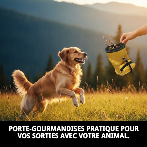 Porta Treats Moly Oxford : Pratique et Élégant pour Animaux de Compagnie