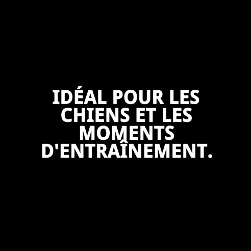 Porta Treats Moly Oxford : Pratique et Élégant pour Animaux de Compagnie