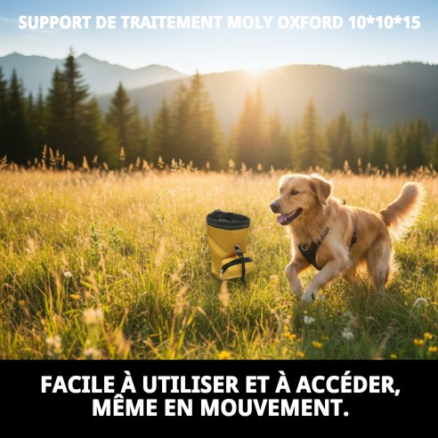 Porta Treats Moly Oxford : Pratique et Élégant pour Animaux de Compagnie