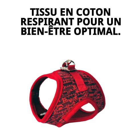 Gilet 3D Casitas Rojas T-XXXS : Confort et Style pour votre Animal de Compagnie