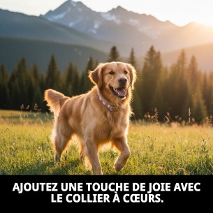Collier Cœurs T-1 : Style et Confort pour votre Animal de Compagnie 2