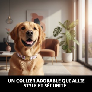 Collier Cœurs T-2 : Style et Confort pour votre Animal de Compagnie 2