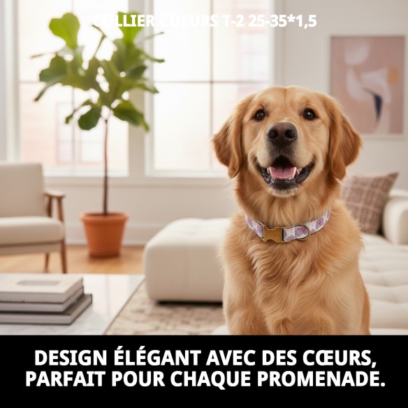 Collier Cœurs T-2 : Style et Confort pour votre Animal de Compagnie