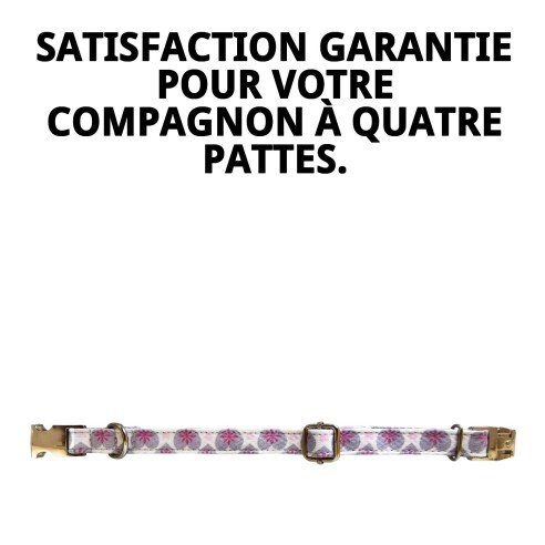 Collier Cœurs T-2 : Style et Confort pour votre Animal de Compagnie