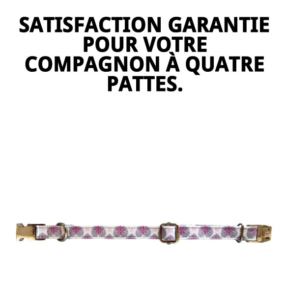 Collier Cœurs T-2 : Style et Confort pour votre Animal de Compagnie