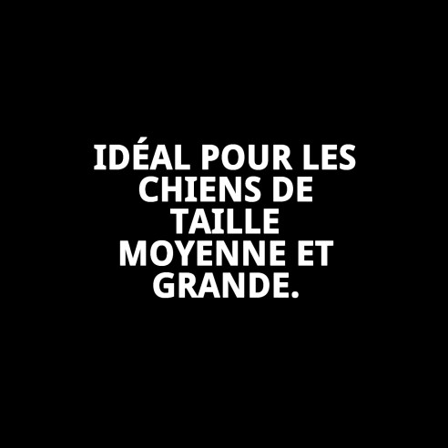 Collier Cœurs T-3 : Style et Confort pour votre Animal de Compagnie