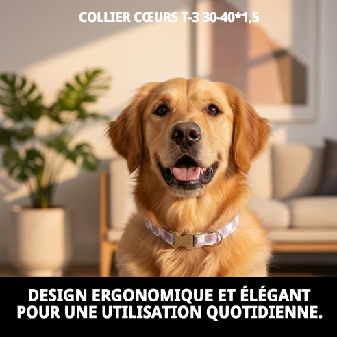 Collier Cœurs T-3 : Style et Confort pour votre Animal de Compagnie